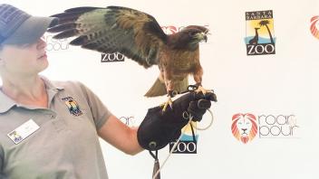 A Day in the Life of a Zookeeper