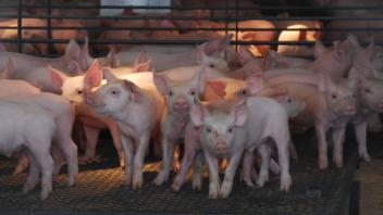 Swine Facility