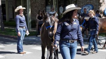 Kelli Davis, students & yearlings at Picnic Day 2019