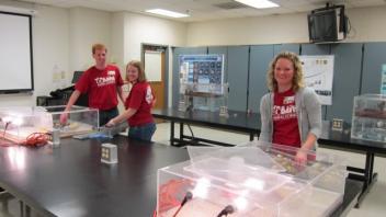 Delany Lab