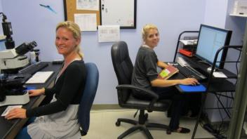 Delany Lab