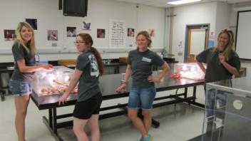 Delany Lab