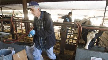Dairy Facility