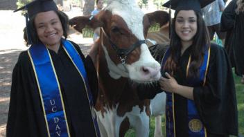 Spring Commencement 2013
