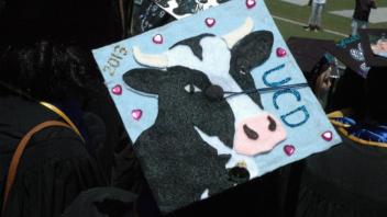 Spring Commencement 2013