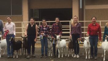 Goat Facility