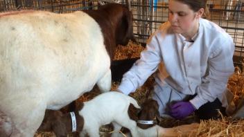 Goat Facility