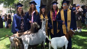 Goat Facility