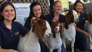 Goat Facility