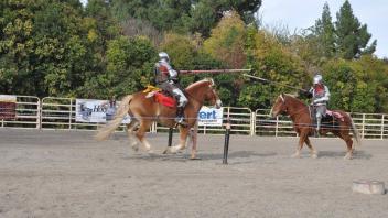 Scenes from Horse Day 2016
