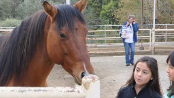 Scenes from Horse Day 2015
