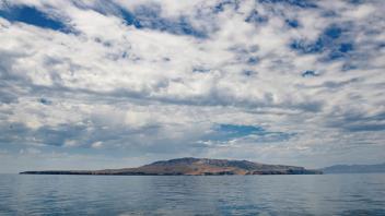 Santa Cruz Island is part of the Channel Islands, sitting 20 miles off the coast of Ventura, Calif. Until the early 2000s, horses and sheep lived on the island, which is operated by The Nature Conservancy and the U.S. National Park Service. Photo by Joe Proudman.