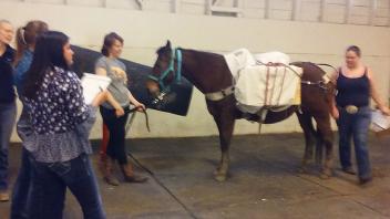 Pack Team try-outs at the Horse Barn