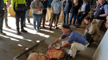 Dr. Hovey presenting at Australian dairy workshop