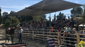 Jodee Collins, Lincoln, CA  giving a donkey behavior and training clinic during 8th Annual Donkey Welfare Symposium. 