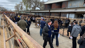 Ag Field Day