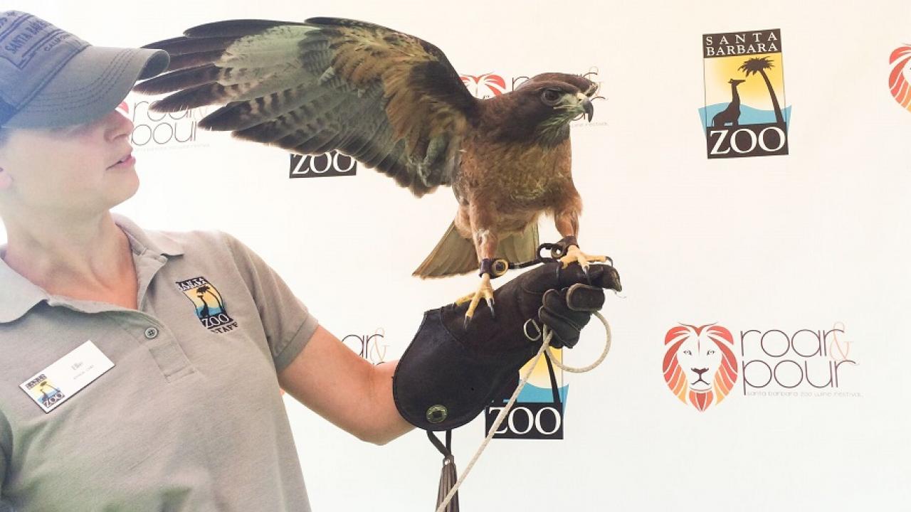 A Day in the Life of a Zookeeper