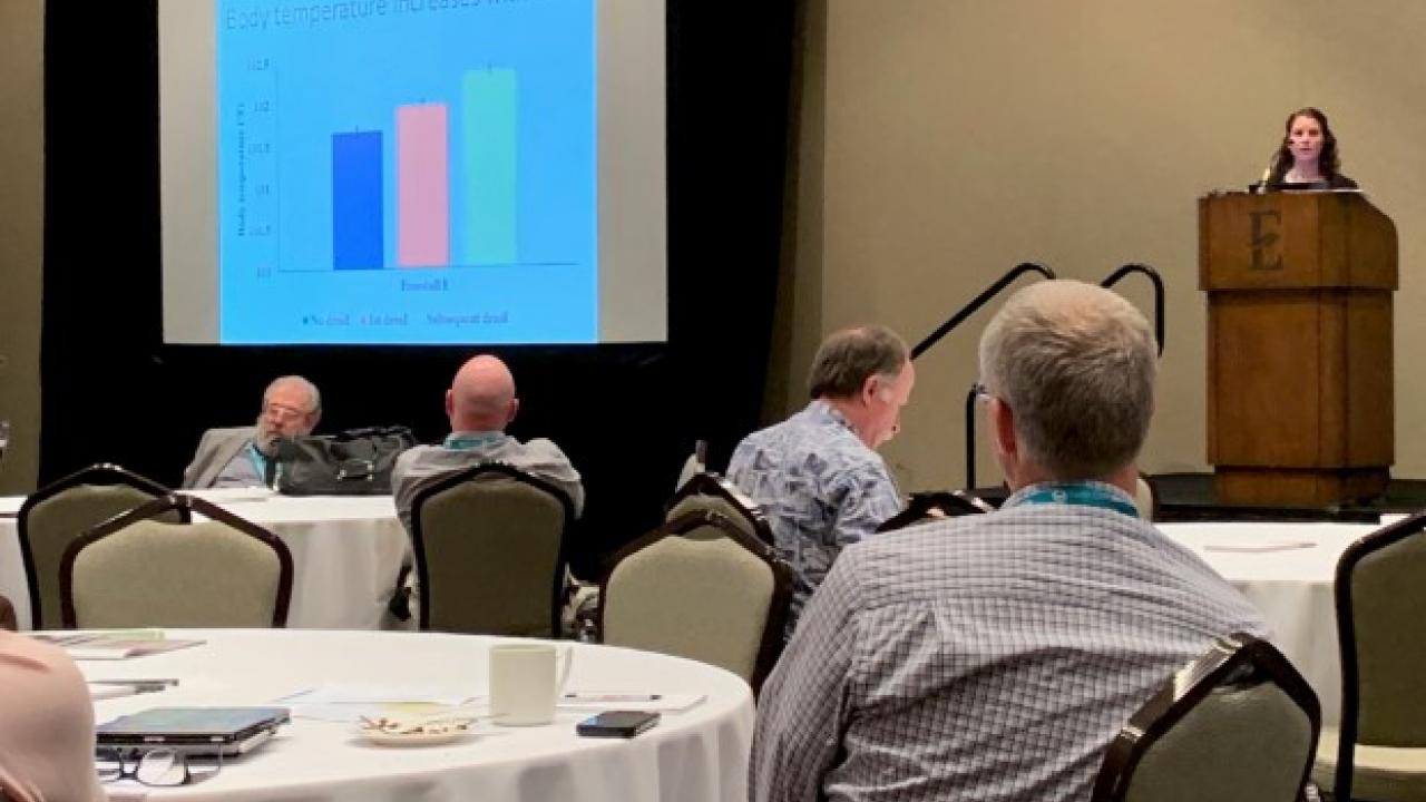 Alycia Drwencke at the Dairy Cattle Welfare Council Symposium