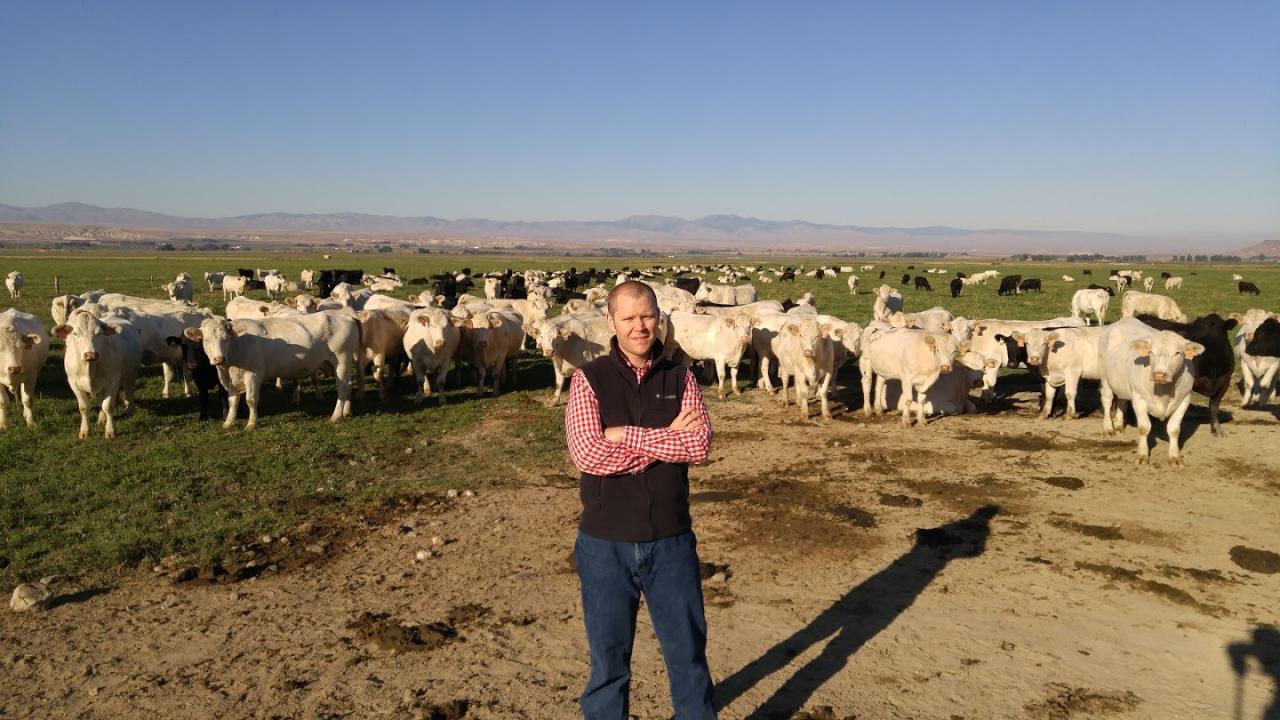 Justin Buchanan, a UC Davis postdoctoral researcher for Alison Van Eenennaam of the Department of Animal Science, was hired by Simplot as a geneticist at the project’s conclusion.