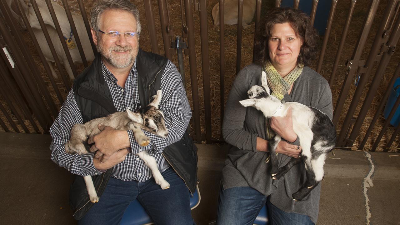 Animal Science Professors Jim Murray and Elizabeth Maga