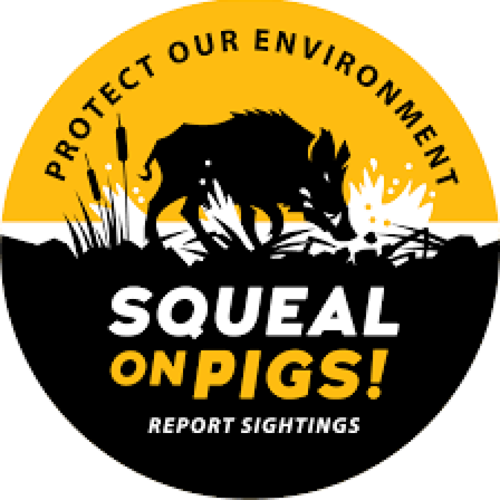 Logo for "Squeal on Pigs!"