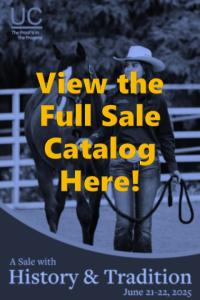 Link to catalog