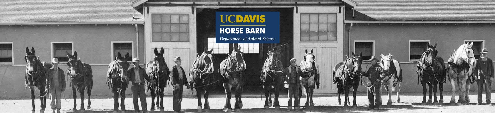 Horse Barn