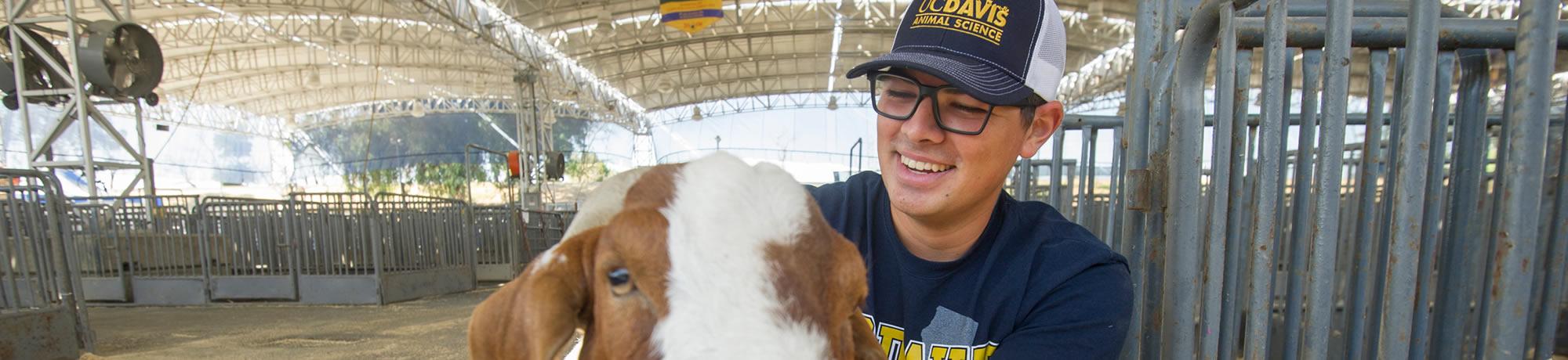 ANSCI student at CA state fair (photo by Karin Higgins, UCD)