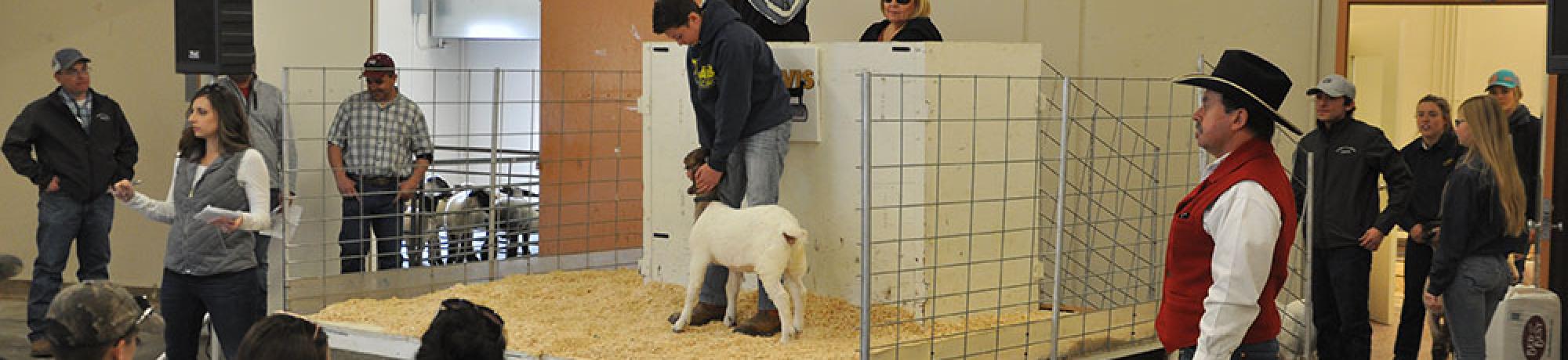 Aggie Classic Sale #2 at Cole A Facility UCD 