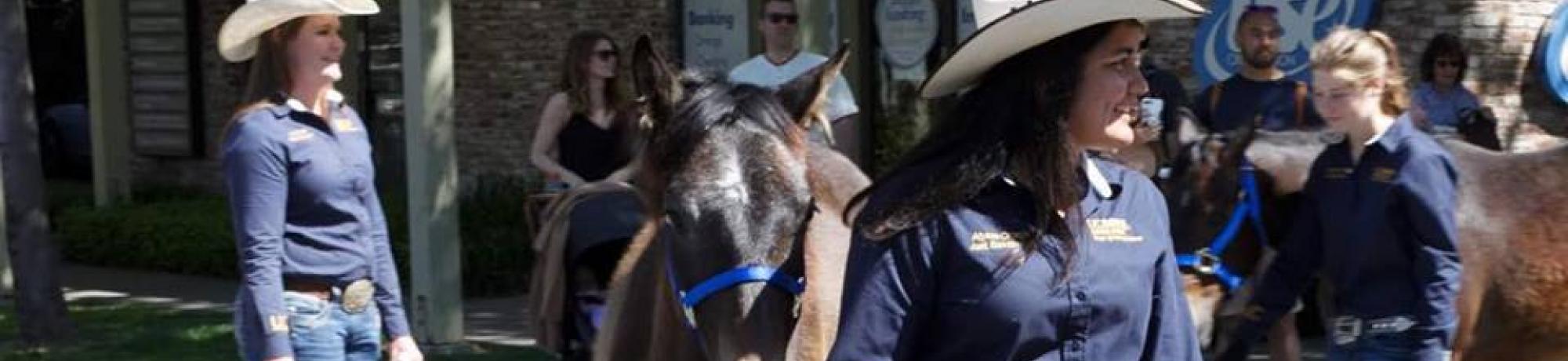 Kelli Davis, students & yearlings at Picnic Day 2019