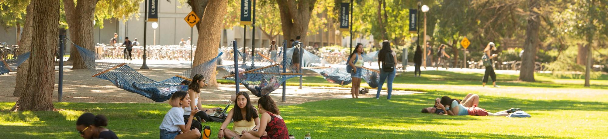 Students on Quad